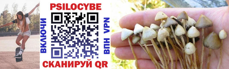 Галлюциногенные грибы MAGIC MUSHROOMS  Купить закладки  Черемхово 